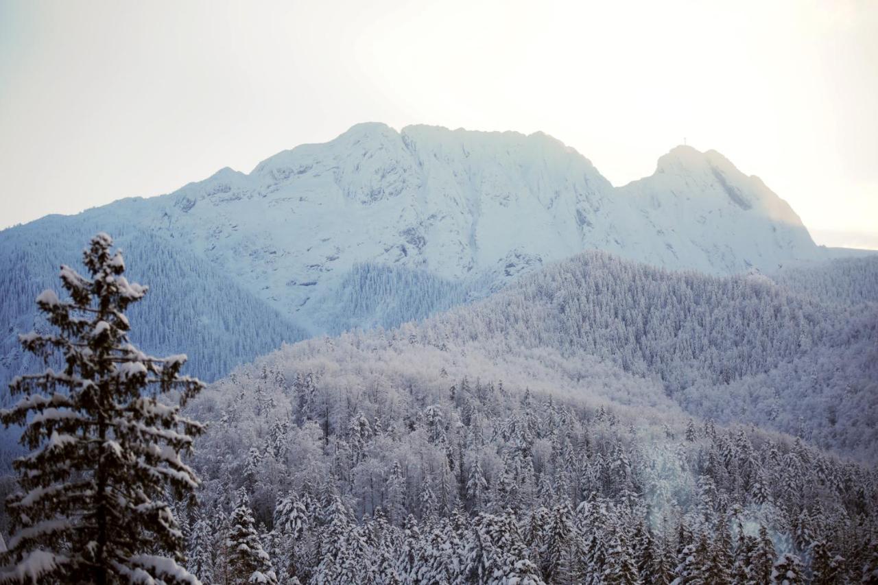 Green Deer Premium Zakopane Buitenkant foto